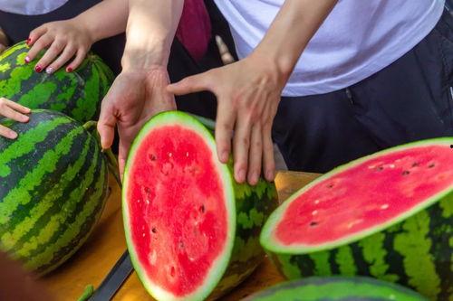 盛世东方曹县免费吃瓜,免费瓜果盛宴，共享盛世东方风采